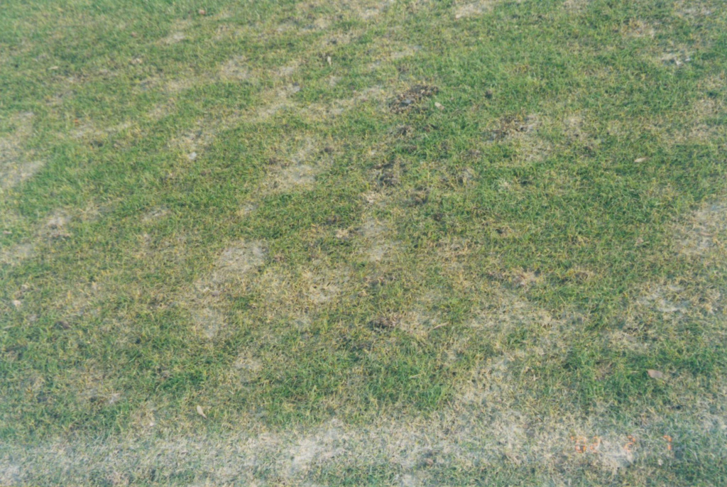 154_kart2.jpg